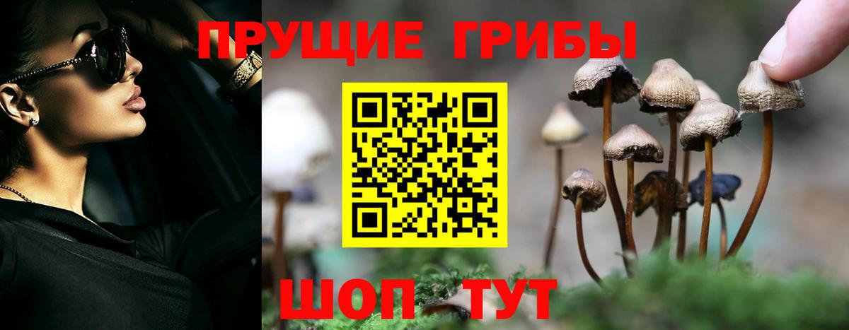 Псилоцибиновые грибы Cubensis  Вход с VPN  Валуйки 